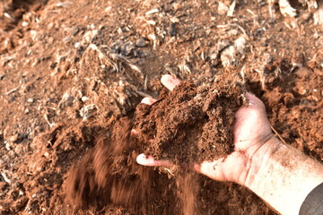 Peat Moss background. Peat moss industry harvests and ships millions of kilograms to countries...
