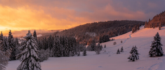 Im Schwarzwald bei Bernau am Herzogenhorn