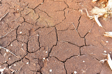Drainage of swamp for peat extraction. Dry lake in the process of drought and lack of rain or...