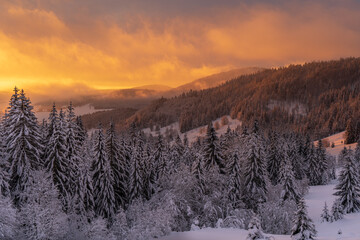 Im Schwarzwald bei Bernau am Herzogenhorn