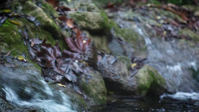 Travelling of Waterfall detail from Argens river in autunm season in Cotignac, Provence, France