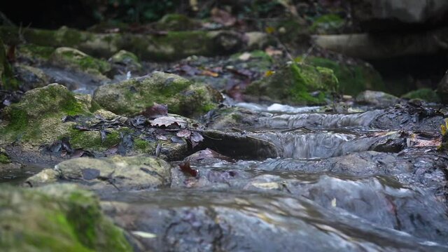 Travelling of Waterfall detail from Argens river in autunm season in Cotignac, Provence, France