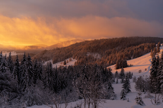Im Schwarzwald bei Bernau am Herzogenhorn