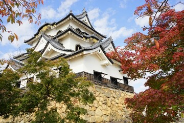 Hikone Castle with red and yellow foliage in Hikone City of Shiga, Japan - 日本 滋賀県 彦根城 秋 紅葉