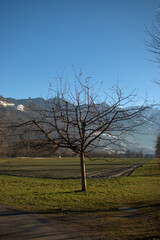 Fototapeta premium Vaduzer Landschaft in Liechtenstein 16.12.2020