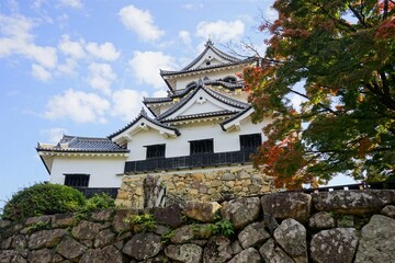 Fototapeta na wymiar Hikone Castle with red and yellow foliage in Hikone City of Shiga, Japan - 日本 滋賀県 彦根城 秋 紅葉