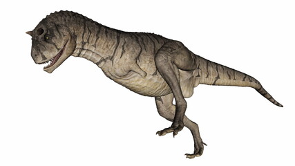 Obraz na płótnie Canvas Carnotaurus dinosaur walking and roaring isolated in white background - 3D render