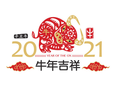 Ox Year 2021 of Chinese New Year. (Chinese translation: Year of the Ox auspicious, Happy new year and Red Stamp with Vintage Ox Calligraphy.)
