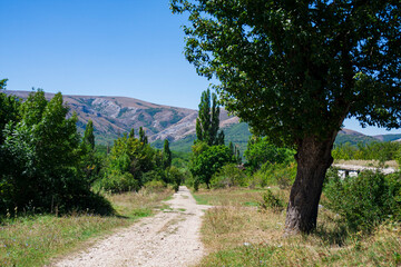 wild summer road to the mountains
