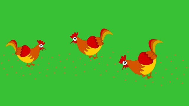 hens pecking seeds in a barnyard with green background - animation