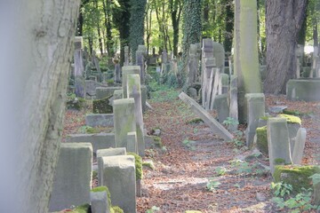 A jewish cemetery in Krakow, Poland