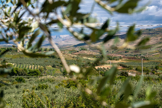 Sicilian contryside