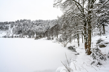 Nonnenmattweiher im südlichen Schwarzwald