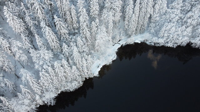 Feldsee mit Blick auf die Tannen des Schwarzwaldes