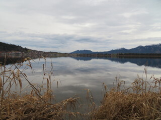 Hopfensee im Winter