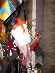 Fototapeta na wymiar Historische Banner bei einem Mittelalter-Fest