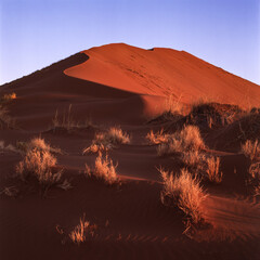 Dune Nr. 1