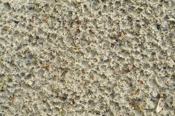 wet sand after rain, background with texture 