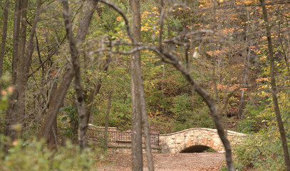 Fall Colors: Stone bridge over stream in the forest