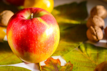 Autumn still life of leaves nuts and apples