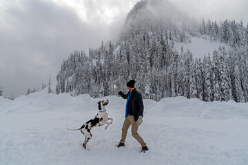 Man and pet great dane dog playing in mountain snow in winter. 