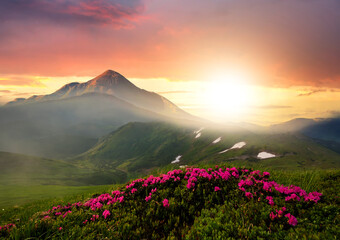 Fototapeta na wymiar Sunset landscape with green grass meadow, red blooming flowers, high peaks and foggy valley under vibrant colorful evening sky in rocky mountains.