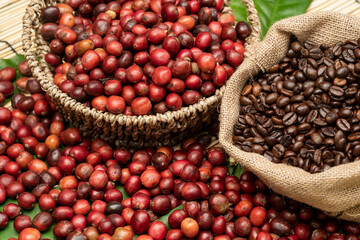 coffee cherries coffee beans and coffee cup