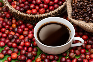 coffee cherries coffee beans and coffee cup