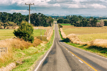 Country road near Woodville, North Island, New Zealand