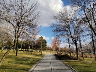 Fototapeta na wymiar Walking path in nature. Trees, sky, clouds and fresh air.