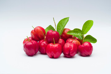 acerola cherries at garden