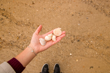 Womans hands with shells on the beach