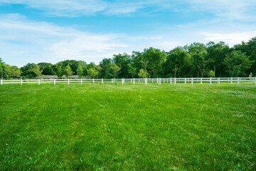 landscape of horse farm