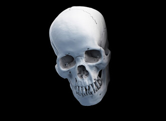 Human skull with an open lower jaw on a Dark isolated background. The concept of death, immortality, eternal life, horror. Acult symbol. Spooky Halloween symbol. 3D render