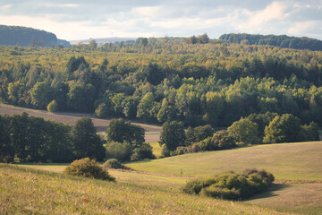 Fototapeta premium Trees starting to turn color at the end of summer near Potzbach, Germany. 