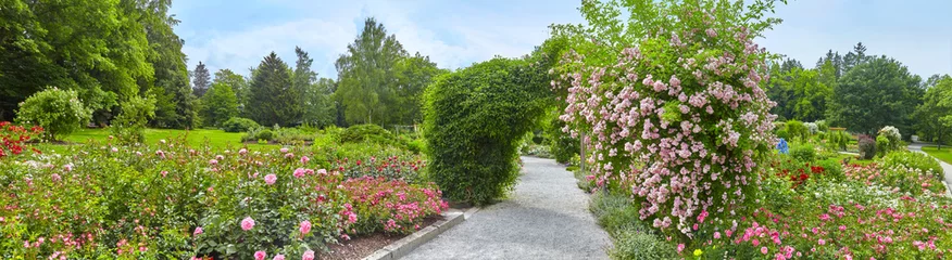 Fototapeten Schöner Park mit Blumenbeeten und Rosen im Panoramaformat. © Composer