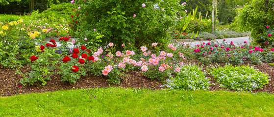 Beautiful park with flower beds and roses in a panoramic format.