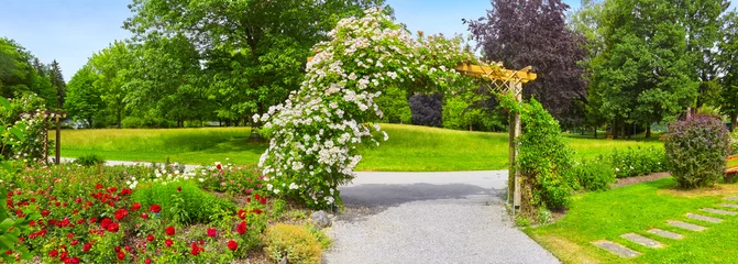 Crédence de cuisine Jardin Beautiful park with flower beds and roses in a panoramic format.  © Composer