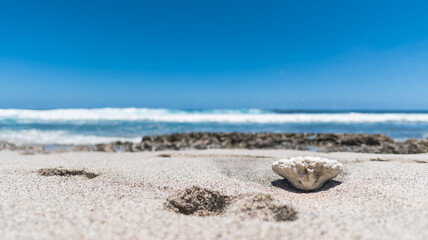 Grand Anse beach Reunion Island