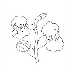 black and white flowers. The original version. Doodle. Minimalism.