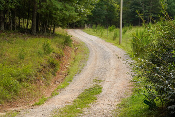 gravel road in the woods