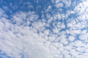 Obraz premium The Sky Is Blue With Lush Clouds Summer Spring Autumn Winter 