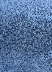 Raindrops on the glass