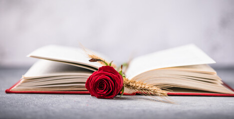 Rose and Book, traditional gift for Sant Jordi, the Saint Georges Day. It is Catalunya's version of Valentine's day