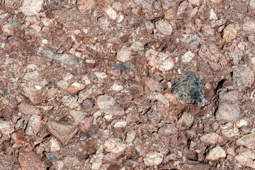 A closeup of a conglomerate rock. It is brown and contains a variety of types of stones..