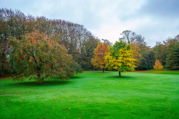 Autumn in the park