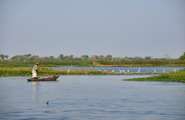 Fisherman on the Rio Magdalena, Santa Cruz de Mompox, Bolivar, Colombia