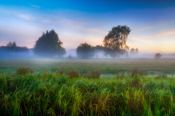 Morning fog and sunrise