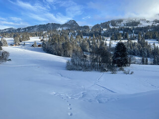 Winters in the mountains