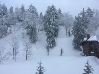 View of a cabin in the woods in the winter landscape of Japan
